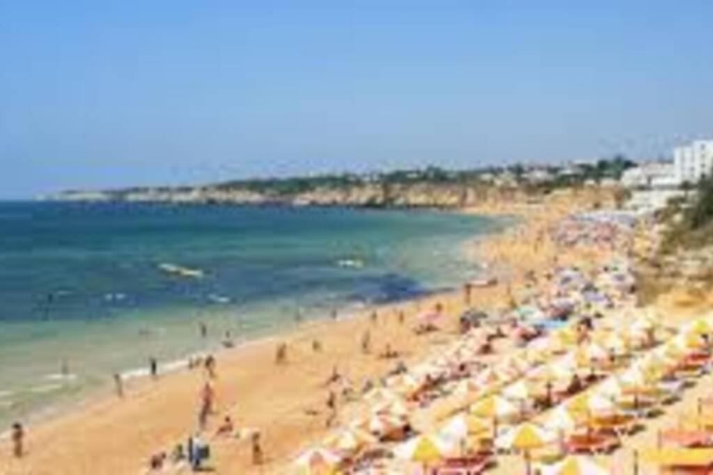 Cozy Ap Renovado 1ª Linha De Praia - Armacao Pera Armacao de Pera Luaran gambar